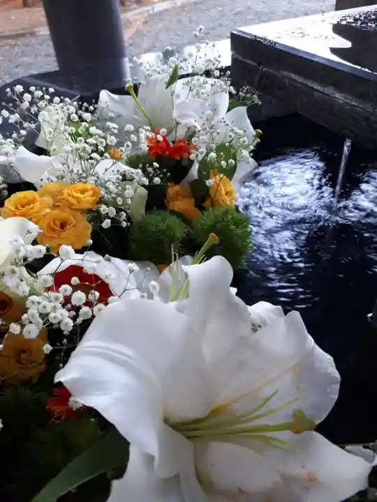 新琴似神社の手水舎