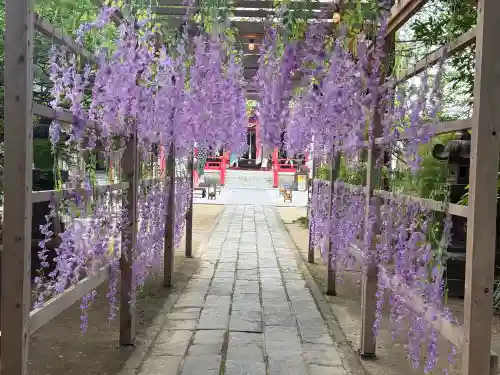 越谷香取神社の{uncategorized: "未分類", other: "その他", undefined: "問題あり", building: "その他建物", grave: "お墓", sacred_gate: "鳥居", guardian: "狛犬", statue: "像", buddha: "仏像", history: "歴史", nature: "自然", garden: "庭園", animal: "動物", pagoda: "塔", temizu: "手水舎", mountain_gate: "山門・神門", sanctuary: "本殿・本堂", subordinate: "末社・摂社", art: "芸術", scenery: "景色", jizo: "地蔵", ema: "絵馬", goshuin: "御朱印", omikuji: "おみくじ", items: "授与品その他", amulet: "お守り", goshuincho: "御朱印帳", eats: "食事", festival: "お祭り", votive_dance: "神楽", shichigosan: "七五三参", wedding: "結婚式", experience: "体験その他", initially: "初詣", around: "周辺", anti_infection: "感染症対策"}