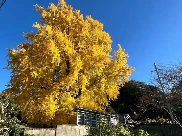 丹生酒殿神社(和歌山県)