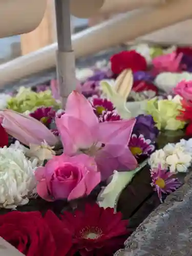 鳩森八幡神社の手水舎
