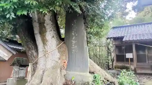竹内神社(千葉県)