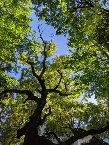 神明社(愛知県)
