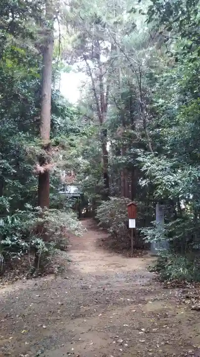 鷲宮神社の自然