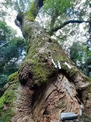 奈良豆比古神社(奈良県)