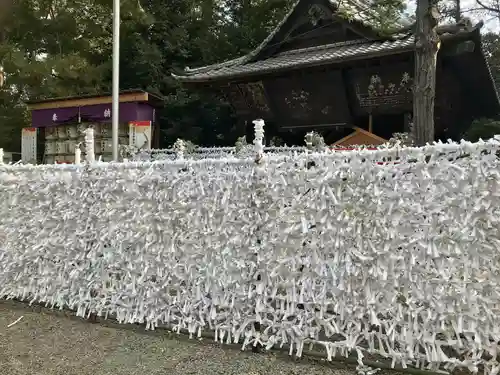 武蔵一宮氷川神社のおみくじ