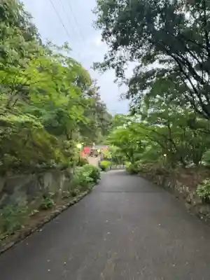 救馬溪観音の{uncategorized: "未分類", other: "その他", undefined: "問題あり", building: "その他建物", grave: "お墓", sacred_gate: "鳥居", guardian: "狛犬", statue: "像", buddha: "仏像", history: "歴史", nature: "自然", garden: "庭園", animal: "動物", pagoda: "塔", temizu: "手水舎", mountain_gate: "山門・神門", sanctuary: "本殿・本堂", subordinate: "末社・摂社", art: "芸術", scenery: "景色", jizo: "地蔵", ema: "絵馬", goshuin: "御朱印", omikuji: "おみくじ", items: "授与品その他", amulet: "お守り", goshuincho: "御朱印帳", eats: "食事", festival: "お祭り", votive_dance: "神楽", shichigosan: "七五三参", wedding: "結婚式", experience: "体験その他", initially: "初詣", around: "周辺", anti_infection: "感染症対策"}