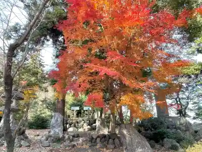 津島神社(岐阜県)