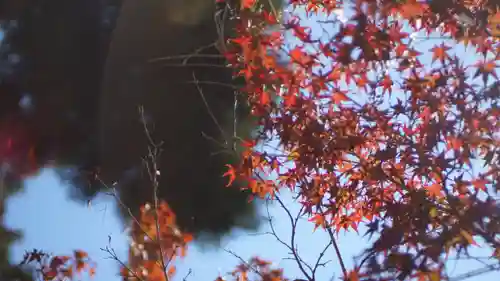 龍田大社(奈良県)