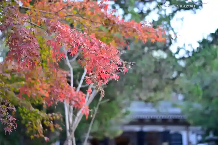円覚寺(神奈川県)
