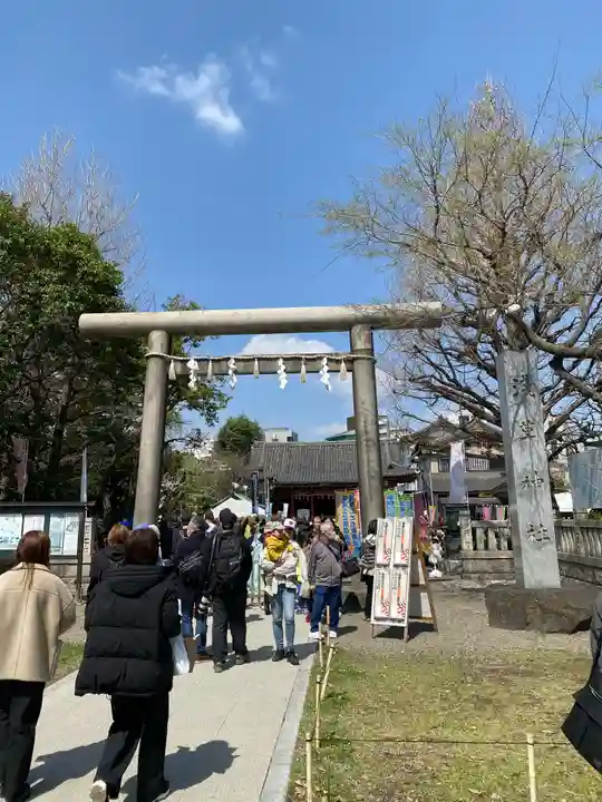 浅草神社の鳥居
