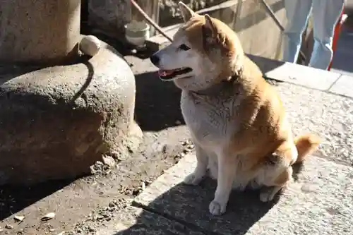 笠䅣稲荷神社(神奈川県)