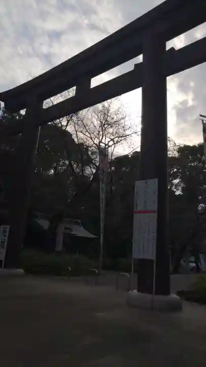 愛知縣護國神社の鳥居