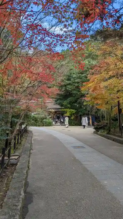 宇治上神社(京都府)