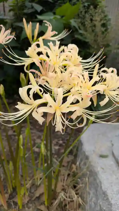 玉田神社(京都府)