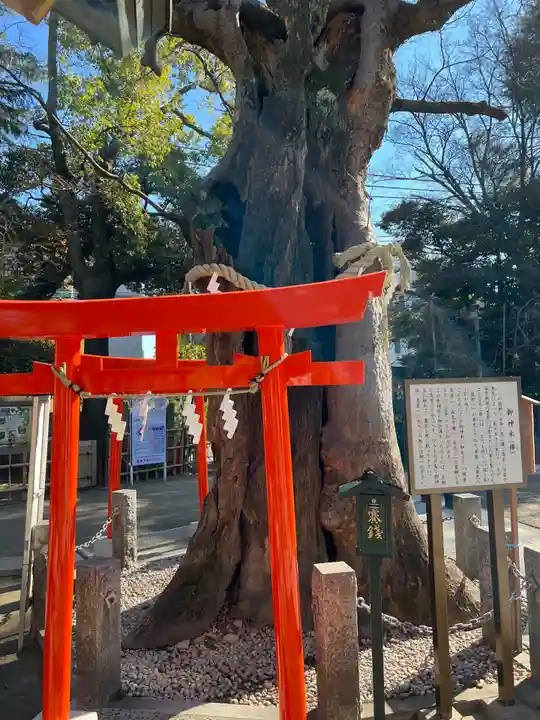新田神社(東京都)