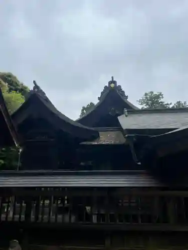 平濱八幡宮の{uncategorized: "未分類", other: "その他", undefined: "問題あり", building: "その他建物", grave: "お墓", sacred_gate: "鳥居", guardian: "狛犬", statue: "像", buddha: "仏像", history: "歴史", nature: "自然", garden: "庭園", animal: "動物", pagoda: "塔", temizu: "手水舎", mountain_gate: "山門・神門", sanctuary: "本殿・本堂", subordinate: "末社・摂社", art: "芸術", scenery: "景色", jizo: "地蔵", ema: "絵馬", goshuin: "御朱印", omikuji: "おみくじ", items: "授与品その他", amulet: "お守り", goshuincho: "御朱印帳", eats: "食事", festival: "お祭り", votive_dance: "神楽", shichigosan: "七五三参", wedding: "結婚式", experience: "体験その他", initially: "初詣", around: "周辺", anti_infection: "感染症対策"}
