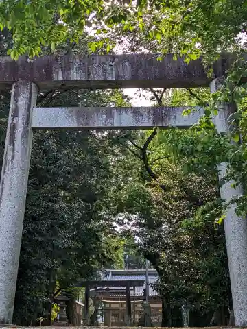 猪毛利谷神社の{uncategorized: "未分類", other: "その他", undefined: "問題あり", building: "その他建物", grave: "お墓", sacred_gate: "鳥居", guardian: "狛犬", statue: "像", buddha: "仏像", history: "歴史", nature: "自然", garden: "庭園", animal: "動物", pagoda: "塔", temizu: "手水舎", mountain_gate: "山門・神門", sanctuary: "本殿・本堂", subordinate: "末社・摂社", art: "芸術", scenery: "景色", jizo: "地蔵", ema: "絵馬", goshuin: "御朱印", omikuji: "おみくじ", items: "授与品その他", amulet: "お守り", goshuincho: "御朱印帳", eats: "食事", festival: "お祭り", votive_dance: "神楽", shichigosan: "七五三参", wedding: "結婚式", experience: "体験その他", initially: "初詣", around: "周辺", anti_infection: "感染症対策"}