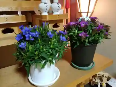 伏木香取神社(茨城県)