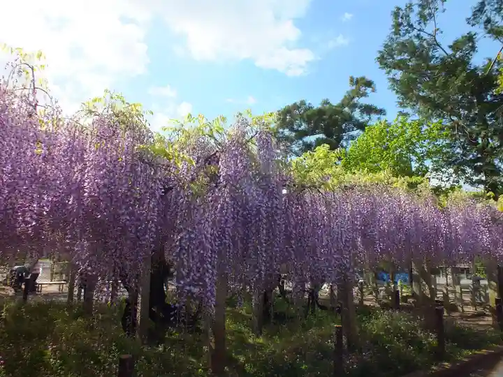 三大神社の自然