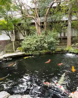 潮見ヶ岡神社(北海道)