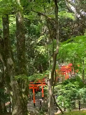 賀茂別雷神社（上賀茂神社）(京都府)
