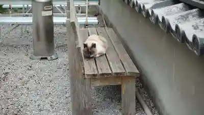 清滝寺(高知県)