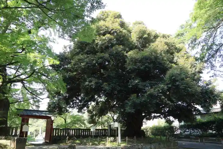 一之宮貫前神社(群馬県)