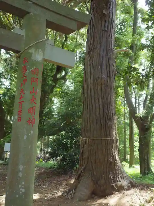将門口ノ宮神社の自然