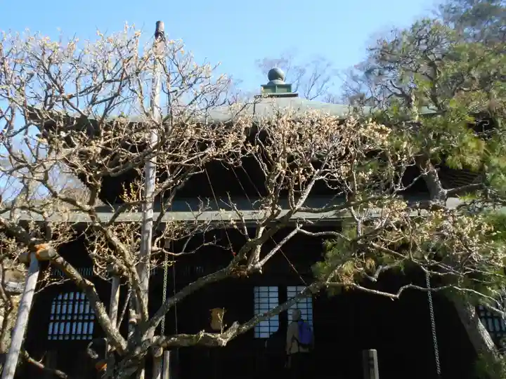 瑞泉寺の本殿・本堂