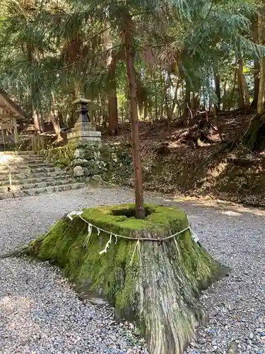 元伊勢内宮 皇大神社(京都府)