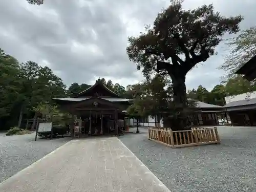 井伊谷宮(静岡県)