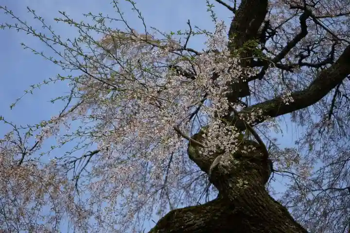 常福寺(山口県)
