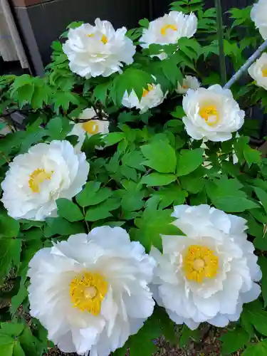 神炊館神社 ⁂奥州須賀川総鎮守⁂(福島県)