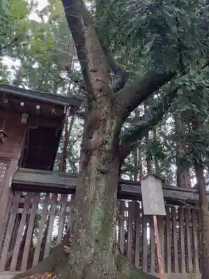 駒形神社(岩手県)