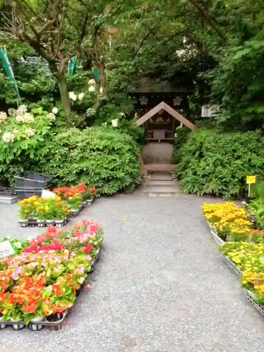 阿佐ヶ谷神明宮(東京都)