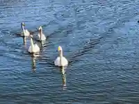 常陸二ノ宮 静神社(茨城県)