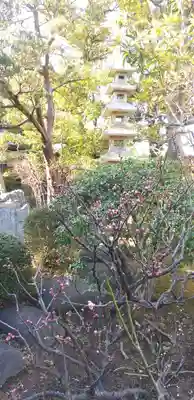 石歴山　妙勝寺のその他建物