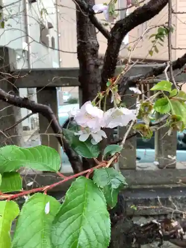 素盞男神社の自然