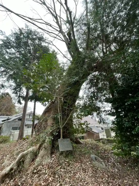 日吉神社(滋賀県)