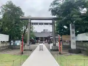 浅草神社の鳥居