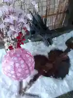 札幌諏訪神社の手水舎