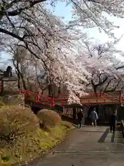 福泉寺の自然