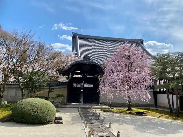 妙顯寺(妙顕寺)(京都府)