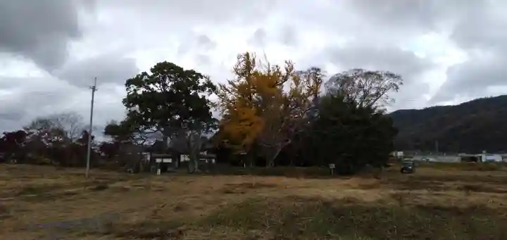 國分寺(国分寺)の周辺