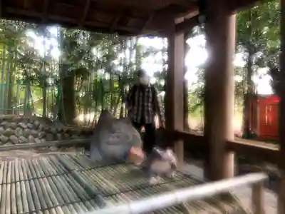 椿大神社の手水舎