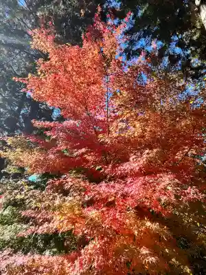 常樂寺(滋賀県)