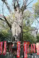 杭全神社の自然