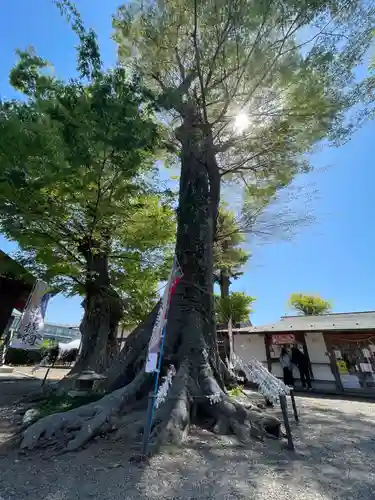 八枝神社の自然
