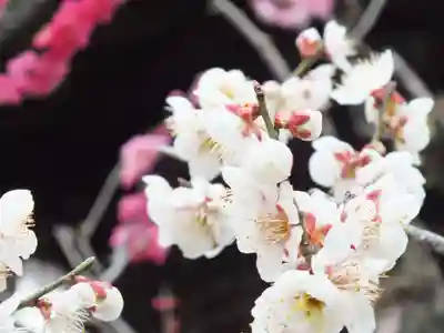 石山寺(滋賀県)