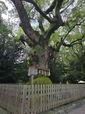 熱田神宮(愛知県)